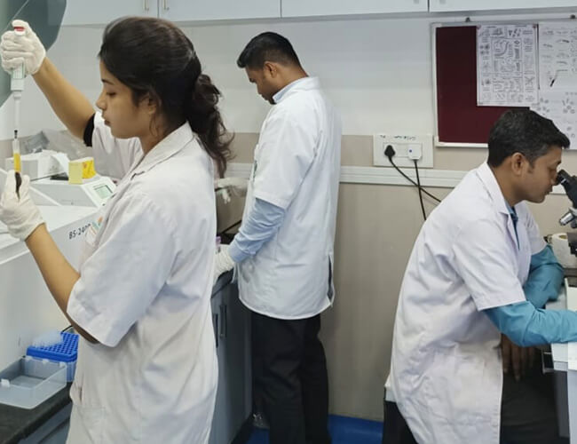 Multidisciplinary Service