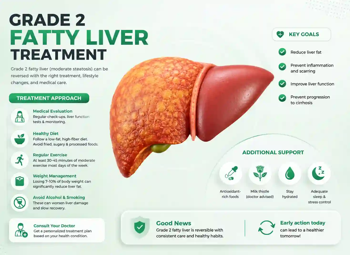 Grade 2 Fatty Liver Treatment - The Complete Evidence-Based Guide to Reversing Fatty Liver Disease